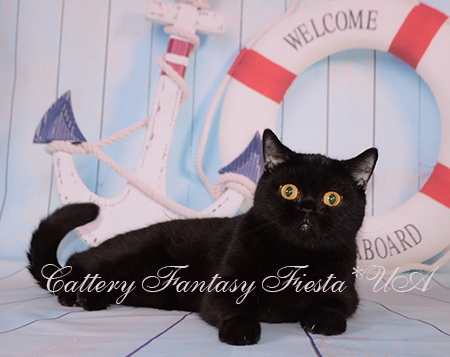 ���������� ������  ������� ������