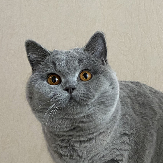 ���������� ������� �����