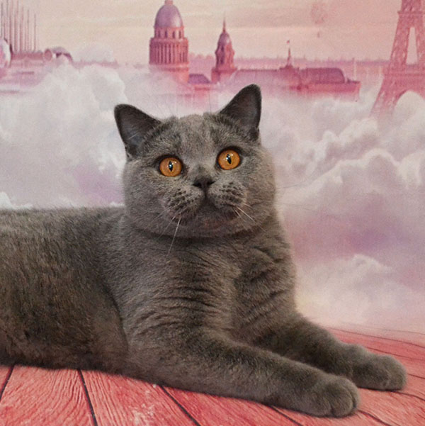 ���������� ������� �����