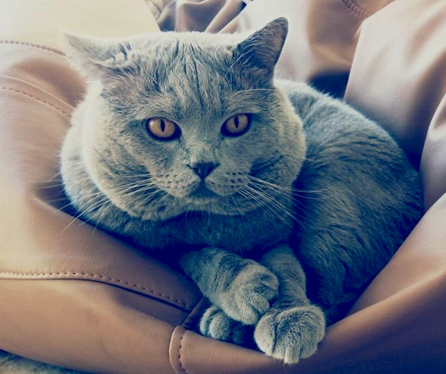 ���������� ������� ���