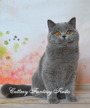 ���������� ������� �����