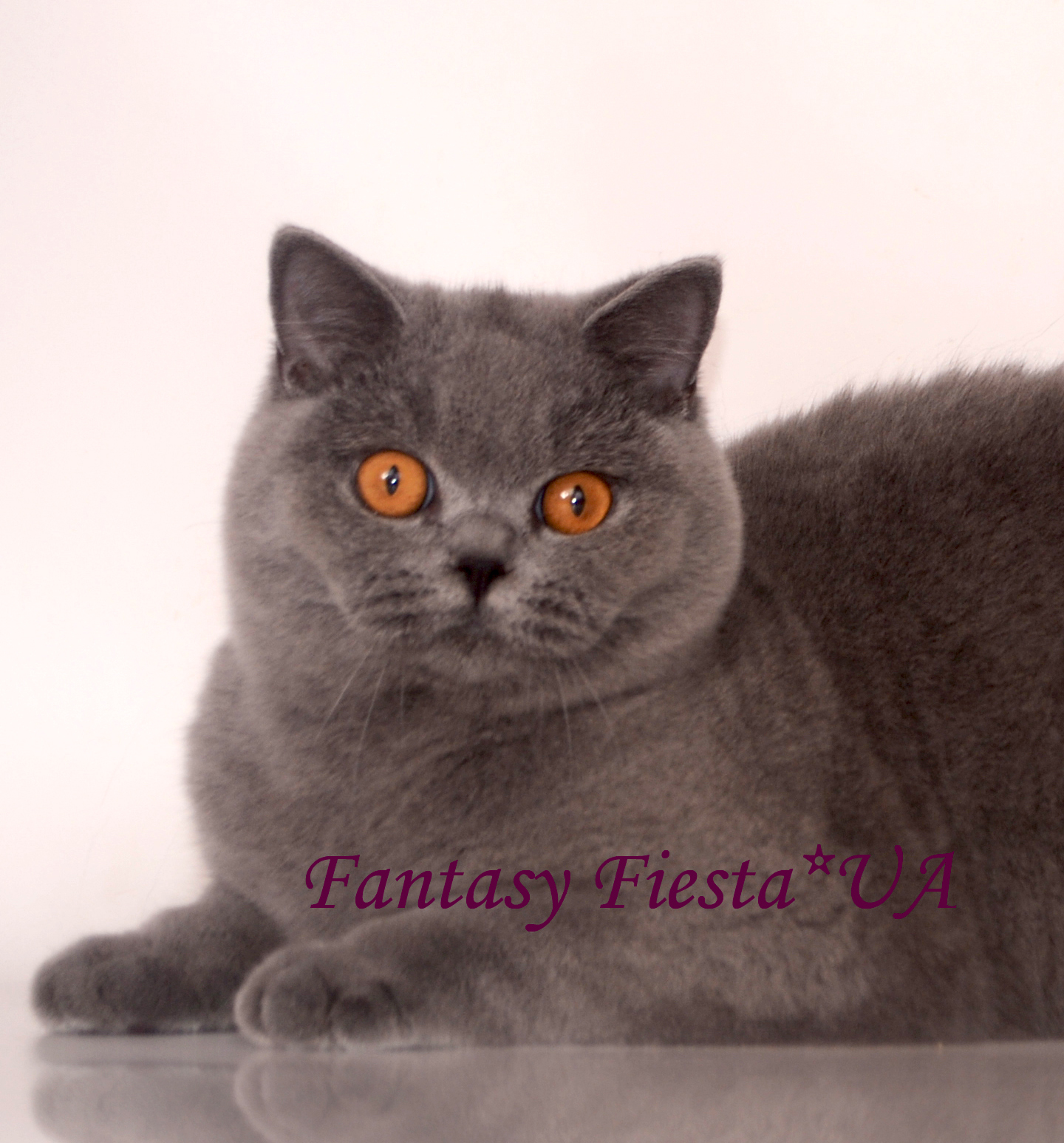 ���������� ������� �����