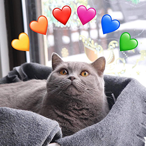 ���������� ������� �������