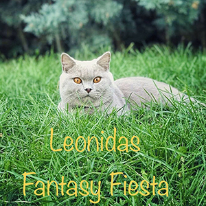 ���������� ������� �������