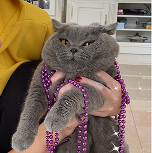 ������� ���������� ������� ������