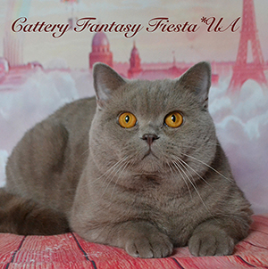 ���������� ������� ���