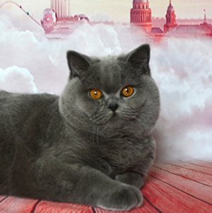 ���������� ������� ���